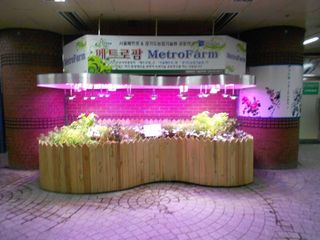 DSCN0307.JPG