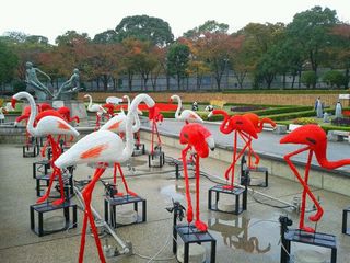 天王寺公園5.jpg