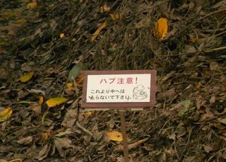 okinawa5.jpg