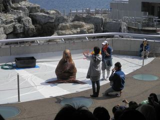 umitamago.jpg